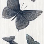 серые бабочки