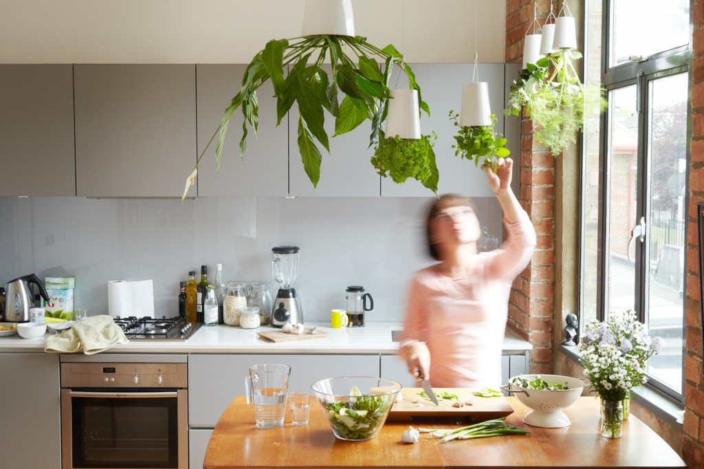 Кухня с комнатными растениями