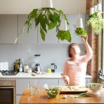 Кухня с комнатными растениями