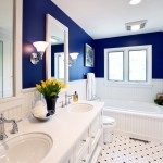 Дизайн ванной комнаты в контастных цветах