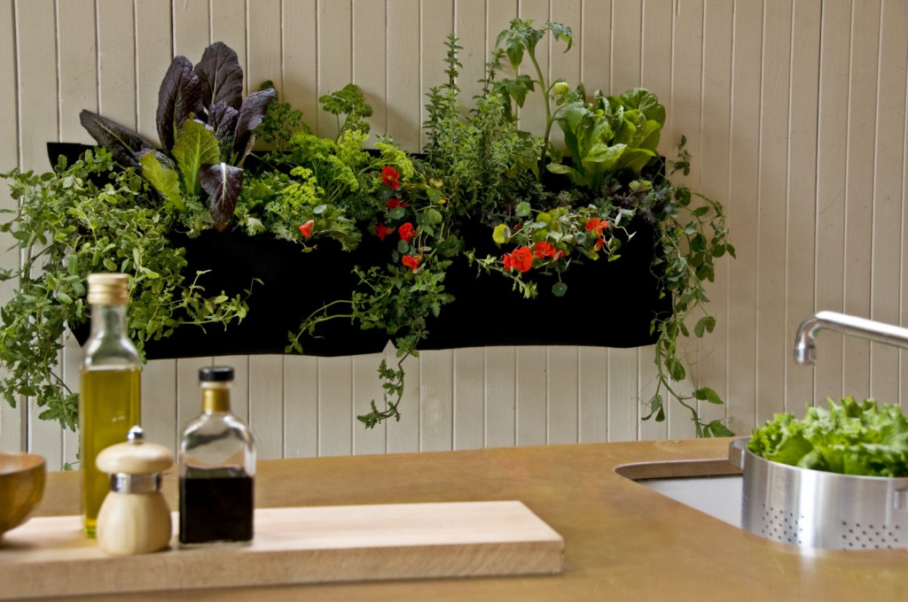 Кухня с комнатными растениями в композиции