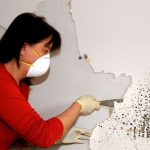 Как удалить плесень со стены и предотвратить ее повторное появление?