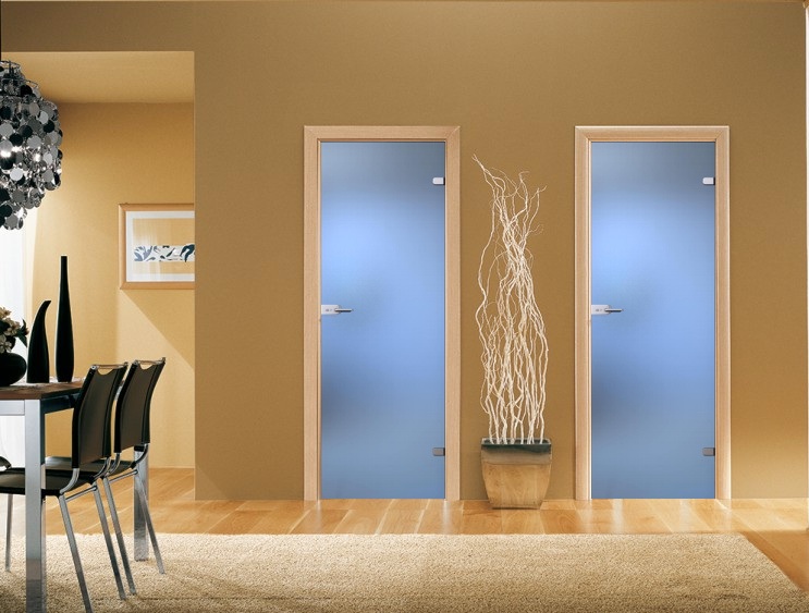 Стеклянная дверь в квартиру: как подобрать оптимальный вариант