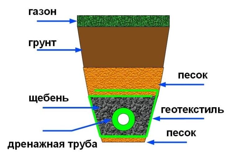 структура газона